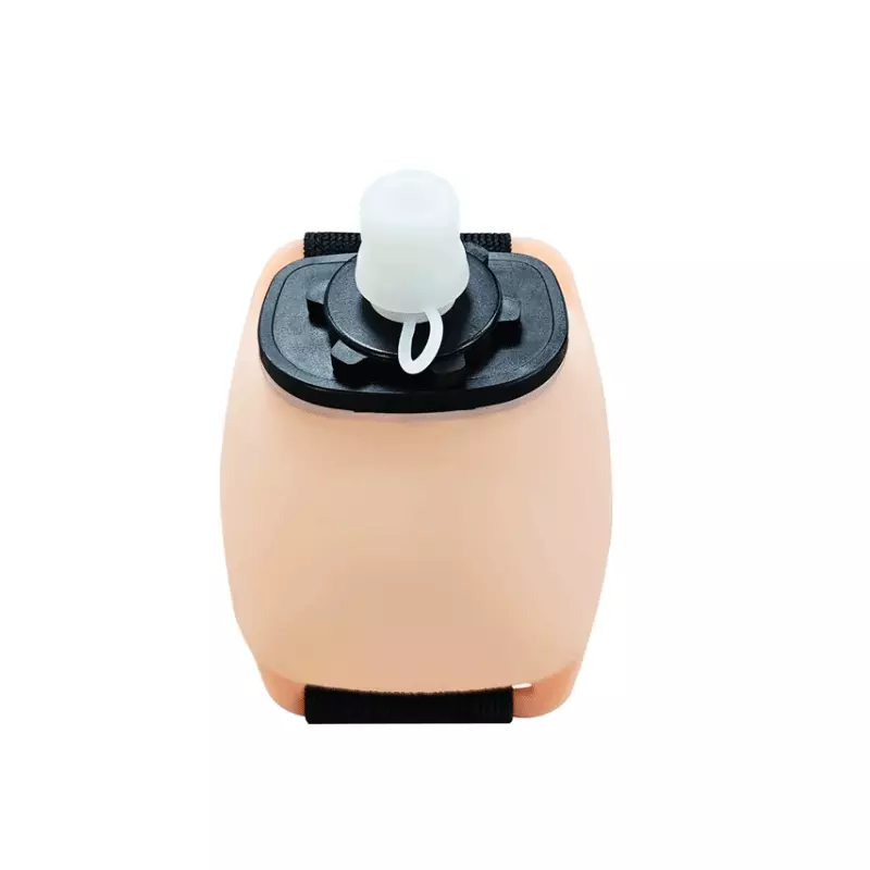 Sports Water Bottle